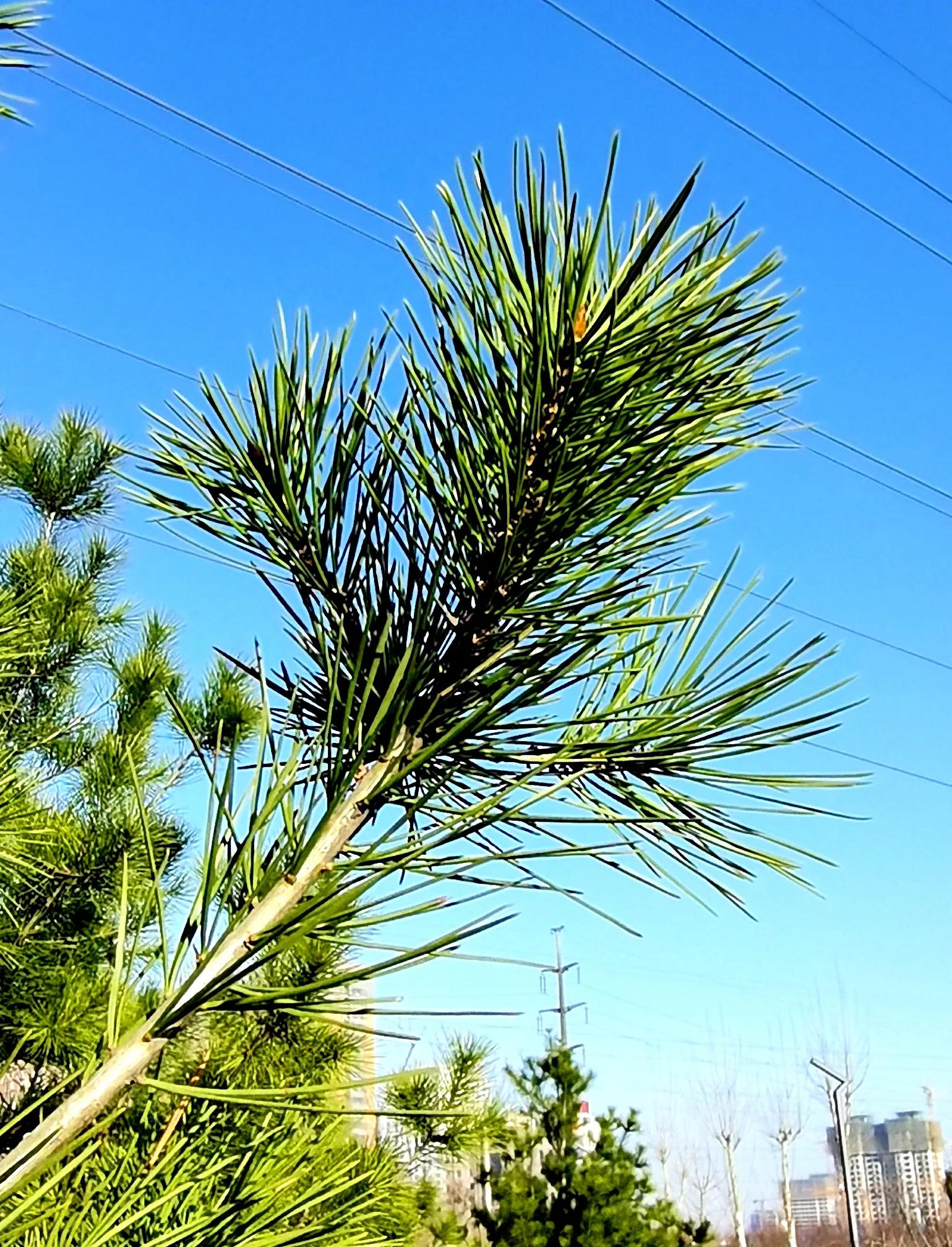 *访上**不当也会违法的（详解）