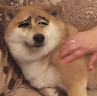 最新防割韭菜套路骗局揭秘,揭秘骗子那些割韭菜套路