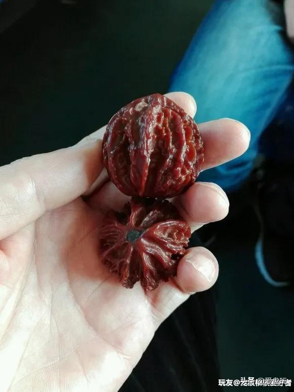 它是核桃圈的“虐手扛把子”，敢上手盘的，都是铁汉子