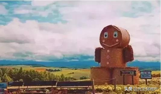 亲子游乐与乡村振兴,乡村振兴与旅游结合的优秀案例