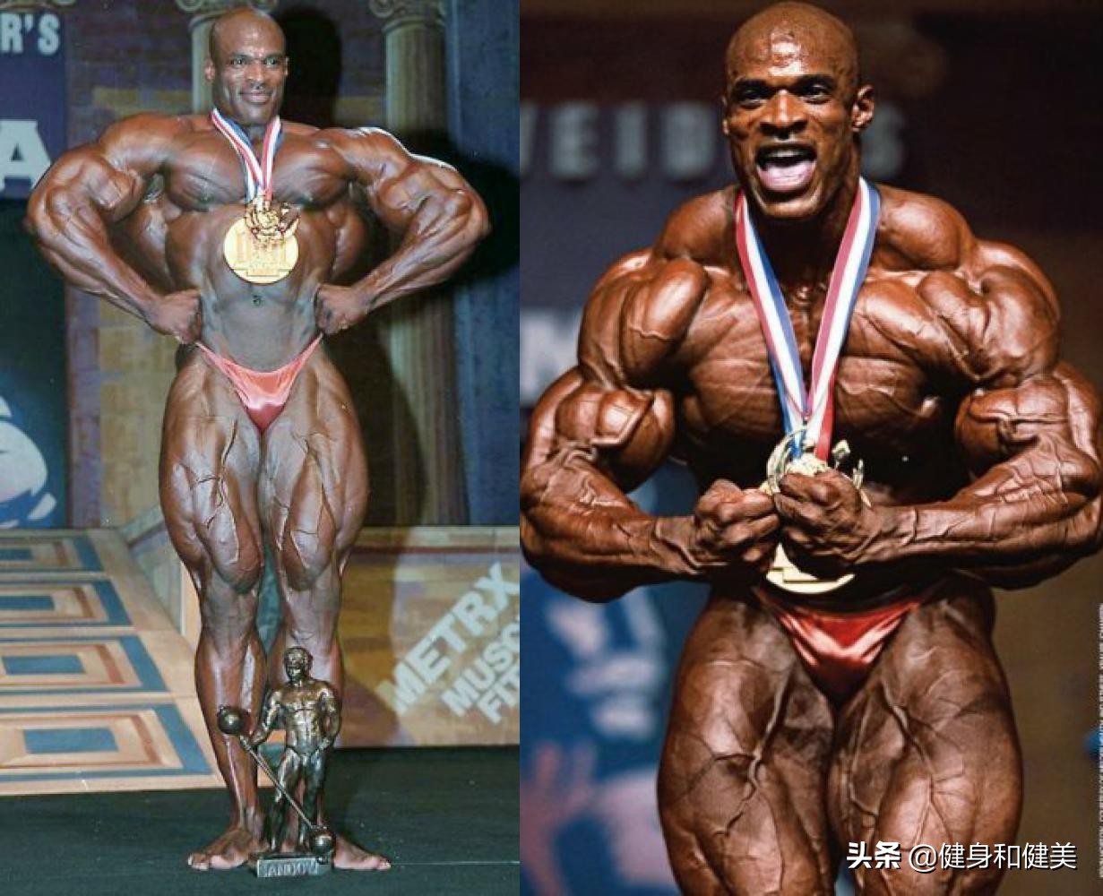 奥赛健美前八对比,健美冠军bmi