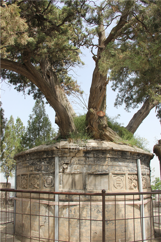 来陕西有两个地方不得不去,一个是黄帝陵,一个是这里
