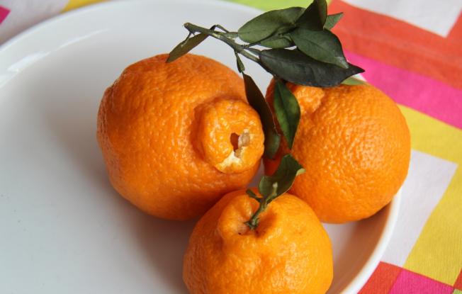 丑橘的食用方法,如何做到丑橘里是沙糖桔