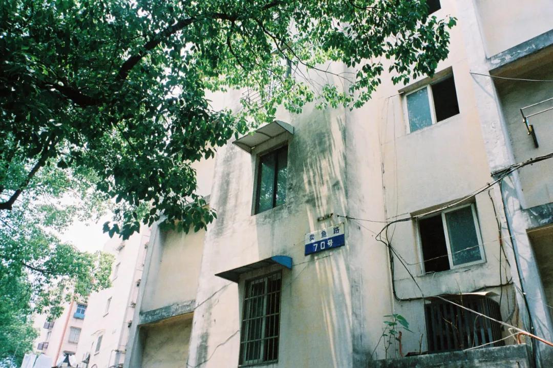 这该死的魅力原版视频,这该死的魅力原版