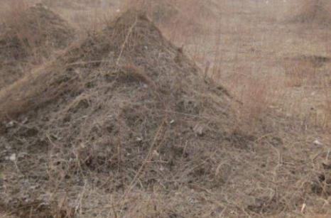 棺材埋在地里为什么要放土堆,棺材埋在地里为什么要放小土堆