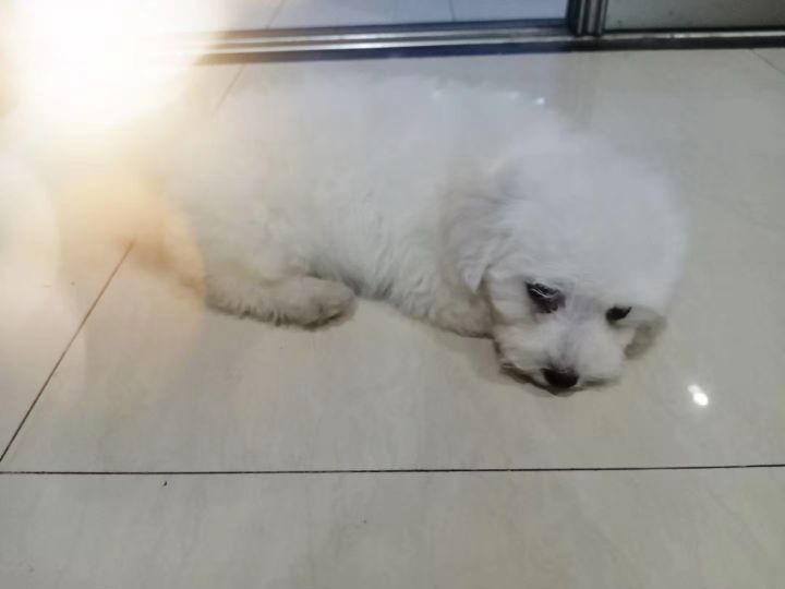 丢了才知道珍惜怎么安慰,丢了才知道漫画