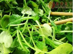 环保酵素制作堆肥的方法,自制酵素拖地