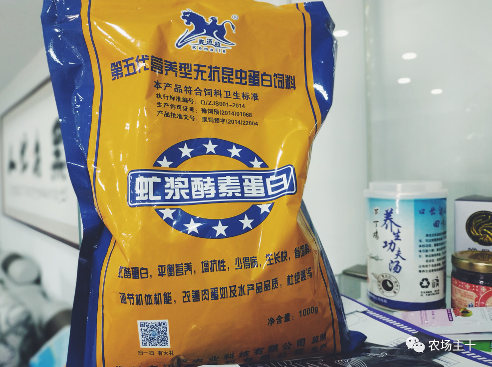 从沿街乞讨到身家亿万，“特养教父”32年的农业路堪称一部传奇史