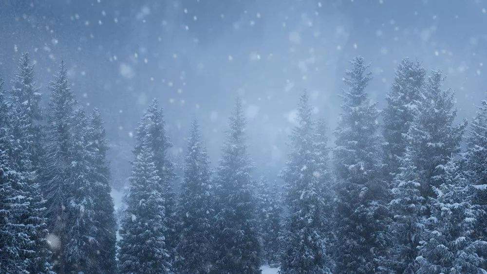 十首最美的《清平乐》,九首清平乐经典之作