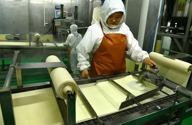石家庄栾城有什么好的工厂,茨河豆制品加工厂