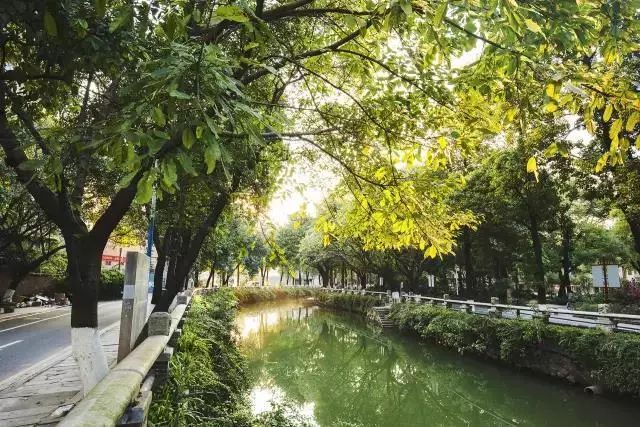 再见了相互嫌弃的老同学,再见了大别山原唱简谱