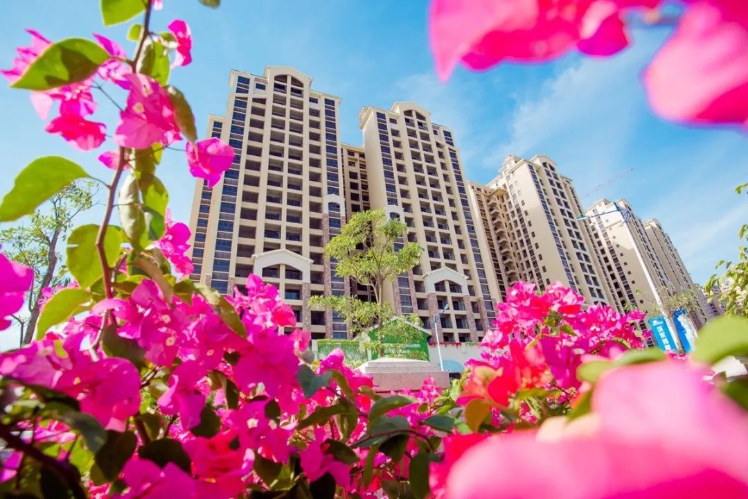 惠州惠城哪个社区最美,惠州市十佳小区