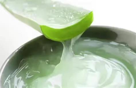 什么芦荟可以直接做面膜,芦荟的作用吃法大全集