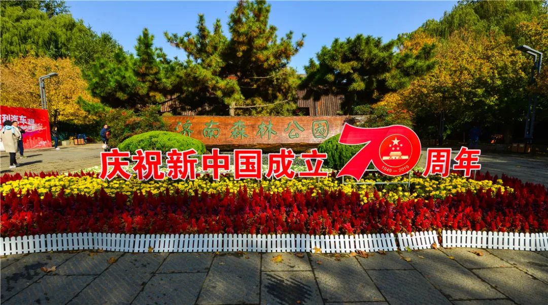 济南森林公园雪景,济南最美森林公园