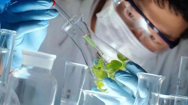 白色修身显瘦冬季裤子穿搭,冬季又显瘦又百搭的女士裤子