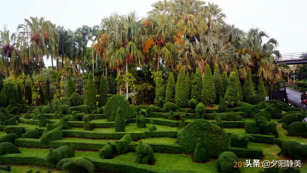 泰国芭提雅东芭乐园视频,芭提雅东芭乐园游玩攻略