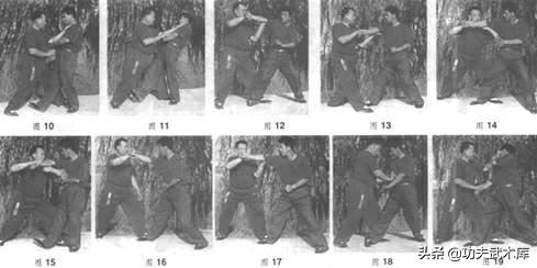 形意拳鼍形,武术象形拳之鸭子拳