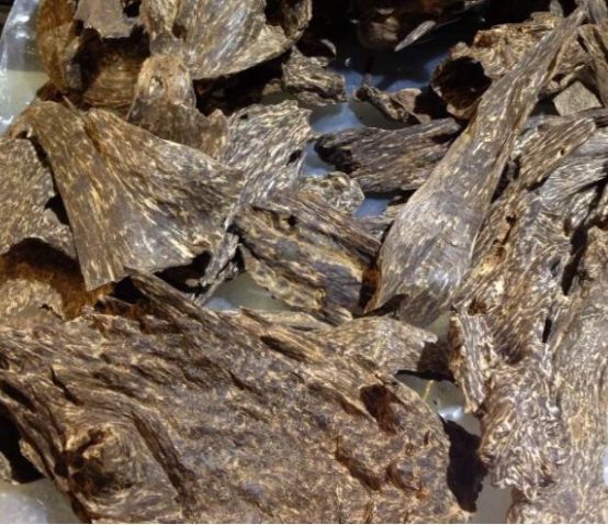 沉香有四要素就一定是真的吗,关于沉香一定要知道的知识