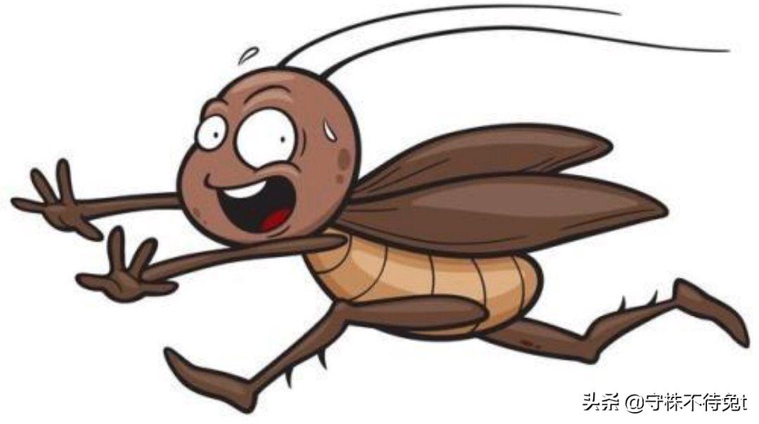 10个冷知识全集,睡觉时膝盖下垫枕头怎么回事