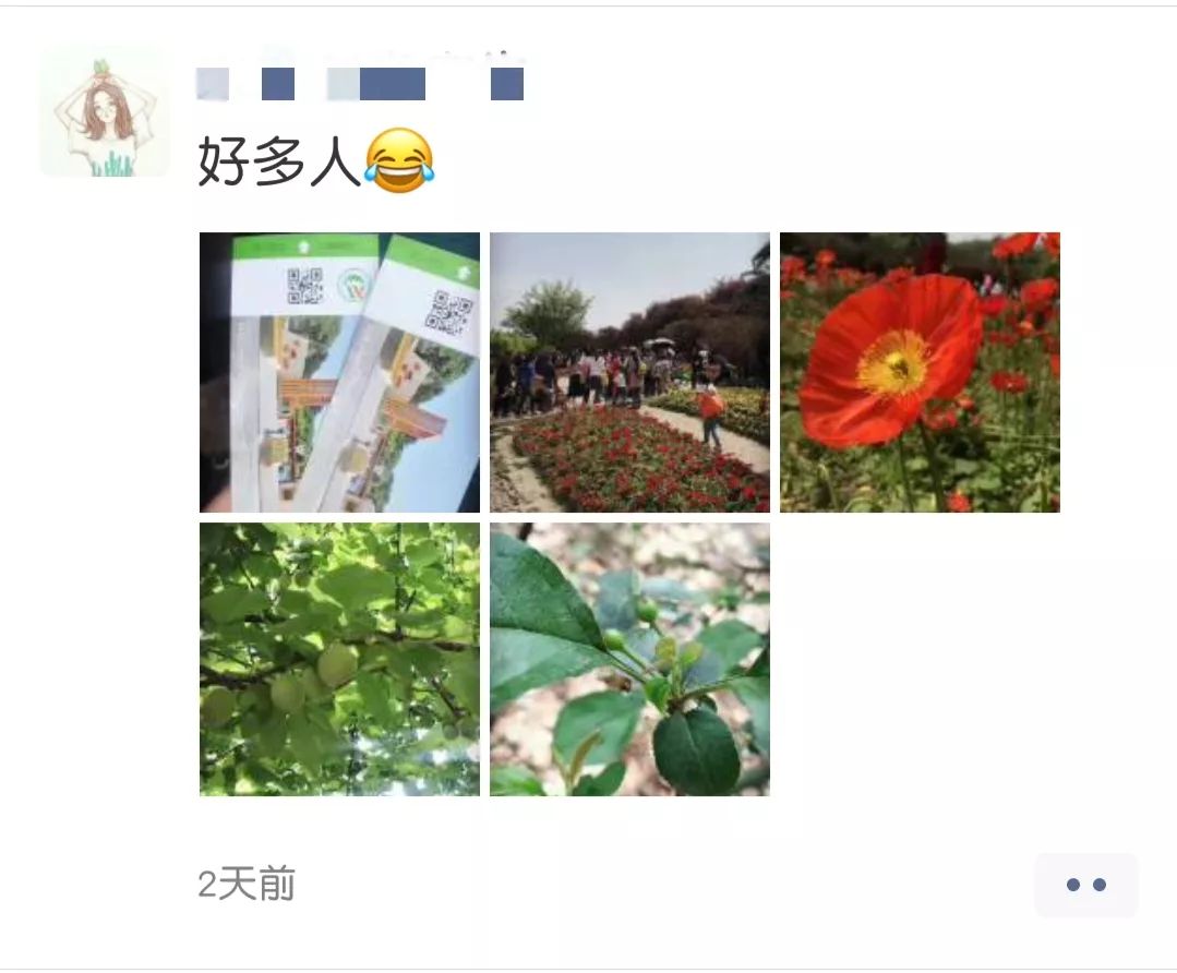 小长假堵路段,小长假堵在路上