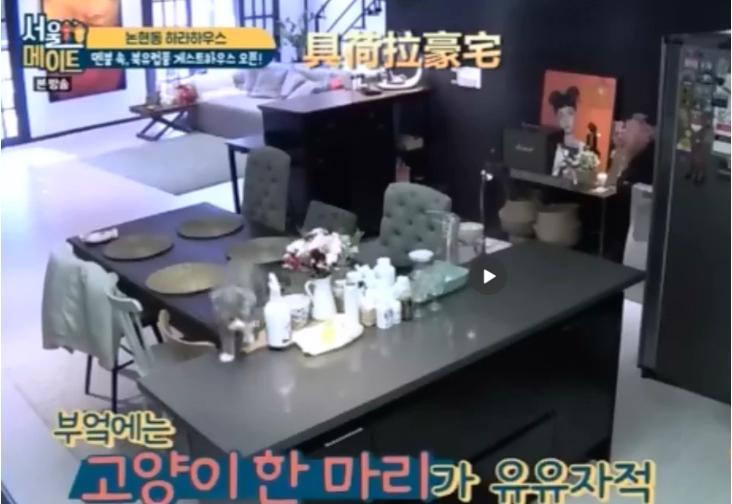 29岁韩国歌手具荷拉家中身亡,韩国女星具荷拉死亡原因调查