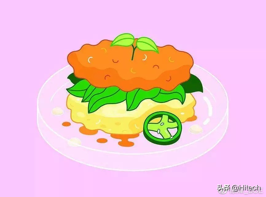 全球十大突破性技术,2021全球十大颠覆性技术