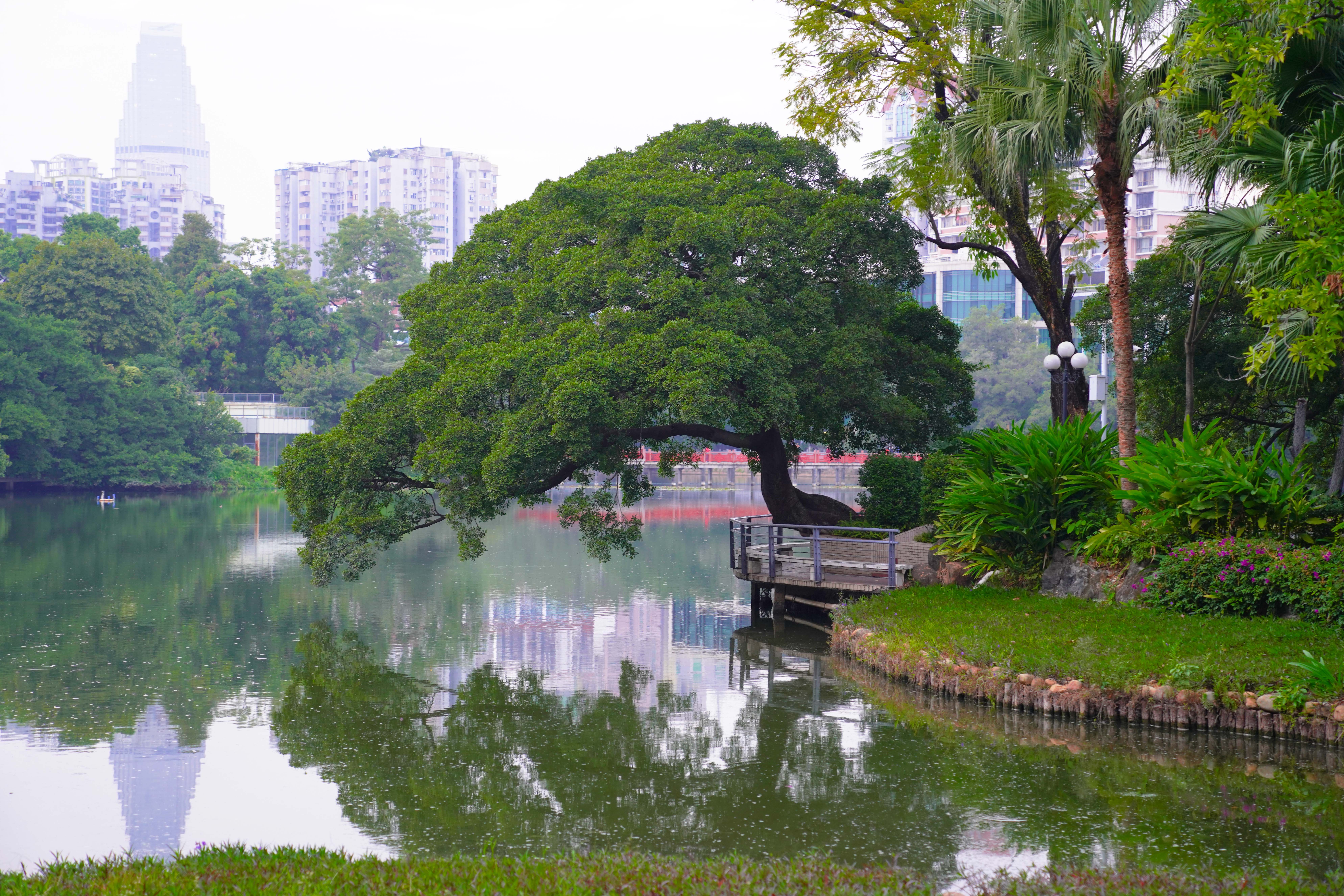 皓影郊游,海洋湖泊周末约会