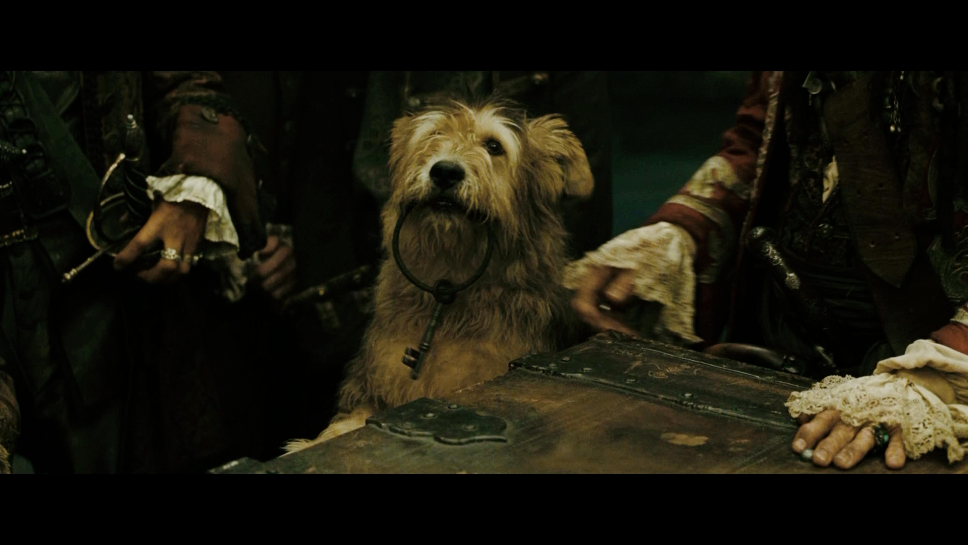 加勒比海盗系列精彩片段不要错过,加勒比海盗系列电影十大难忘瞬间