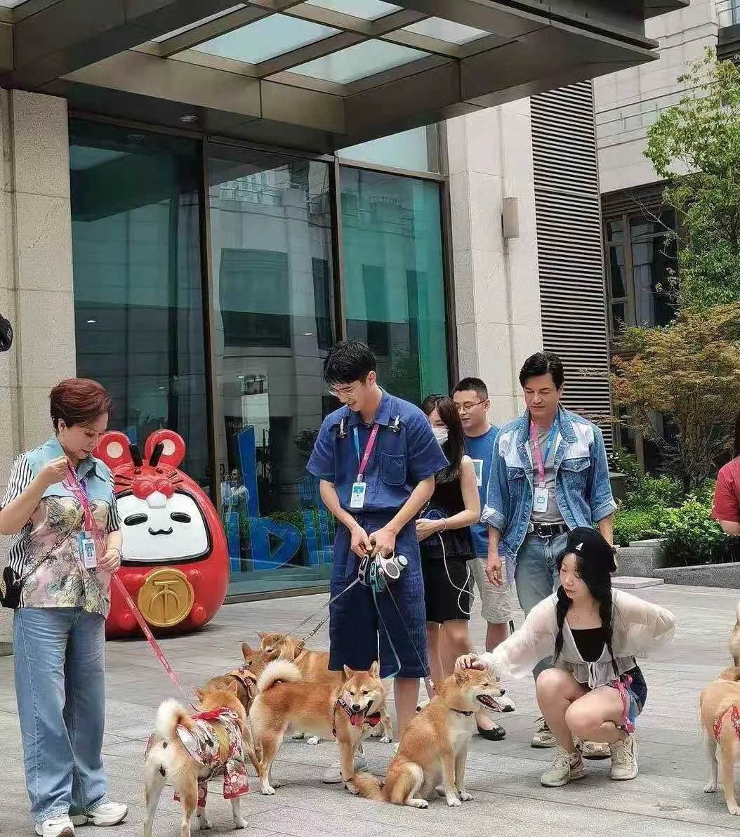 张彬彬景甜合体扫楼场面甜蜜十足,景甜张彬彬同框疯狂撒糖