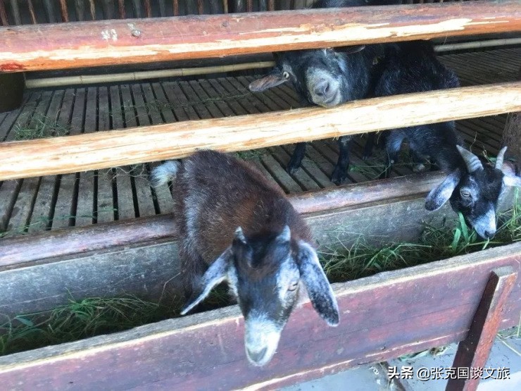 乌村景区,乌村度假村