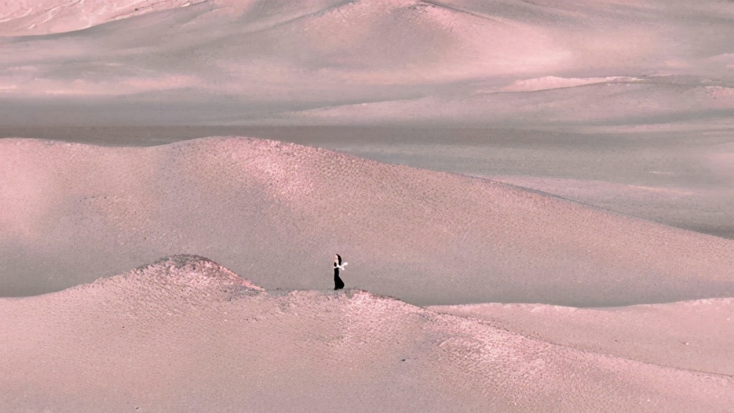 “割礼”惨无人寰的陋习，*害迫**着女性身体，震撼人心《沙漠之花》