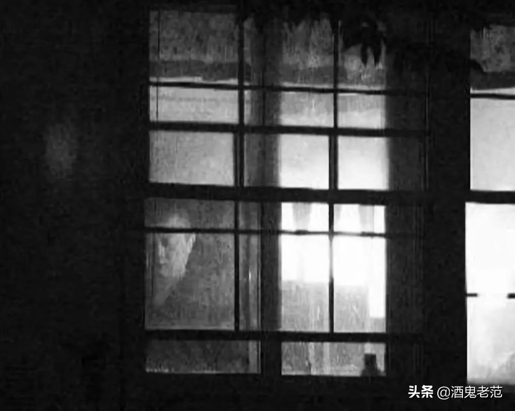 整容成小三,整容变美却嫁给丑八怪