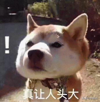 最接近茅台口感的三款嫡系产品,谁性价比最高,谁的酒质最好?