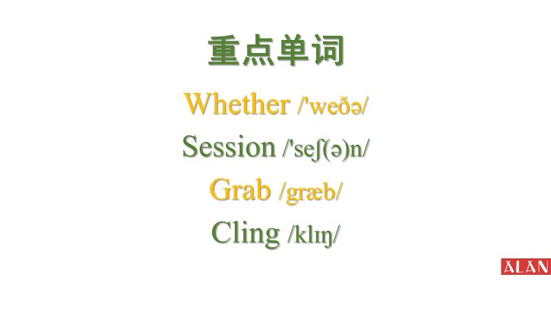 whether的用法,whether的用法详解