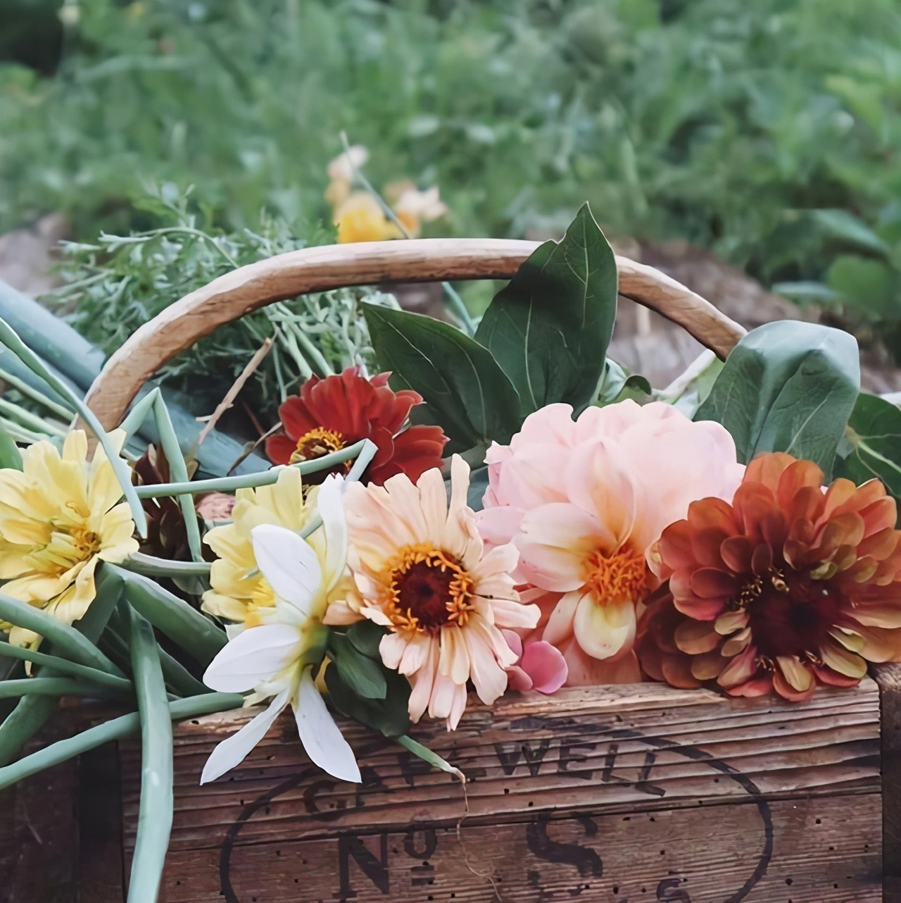 心中有阳光雨中也浪漫,心中有阳光雨中也浪漫表达什么