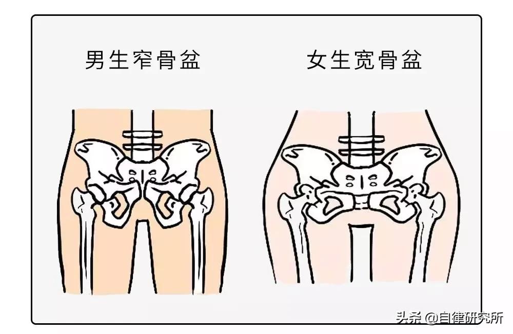 女人是用上半身思考的动物,女人是用什么思考的动物