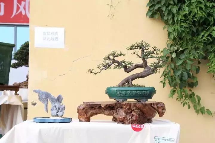 广东科贸职业学院清远校区在哪里,广东科贸职业学院清远校区图