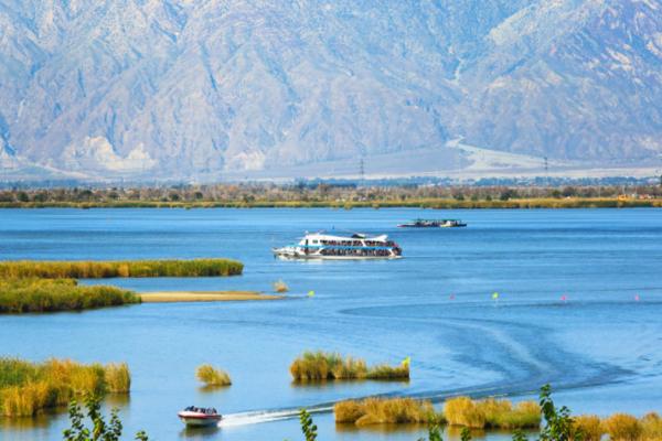 宁夏禁止种植硒砂瓜补偿政策,宁夏禁止种植硒砂瓜