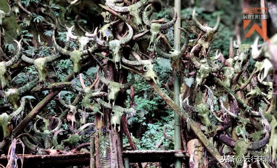 八天七夜云南旅游,八天七夜旅游云南