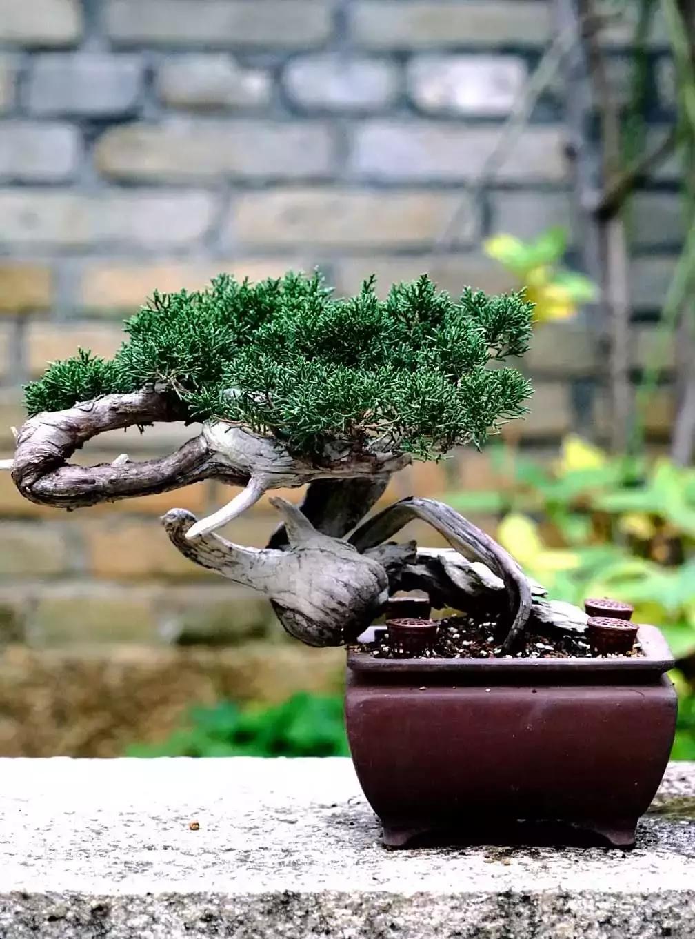 中国历史最高水平40首古诗,千古绝唱十首最经典情感古诗词