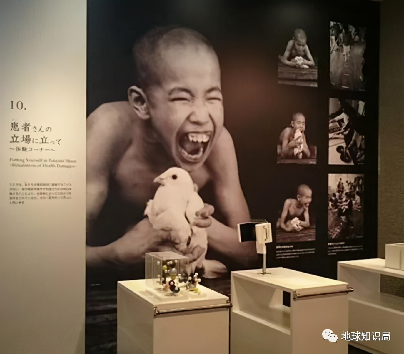 日本现在污染的真实现状,日本污染实际情况