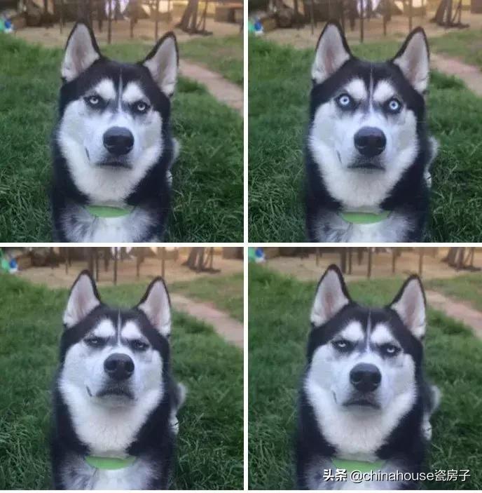 古代的食物和现在的对比,古代的食物是不是比现代的好吃