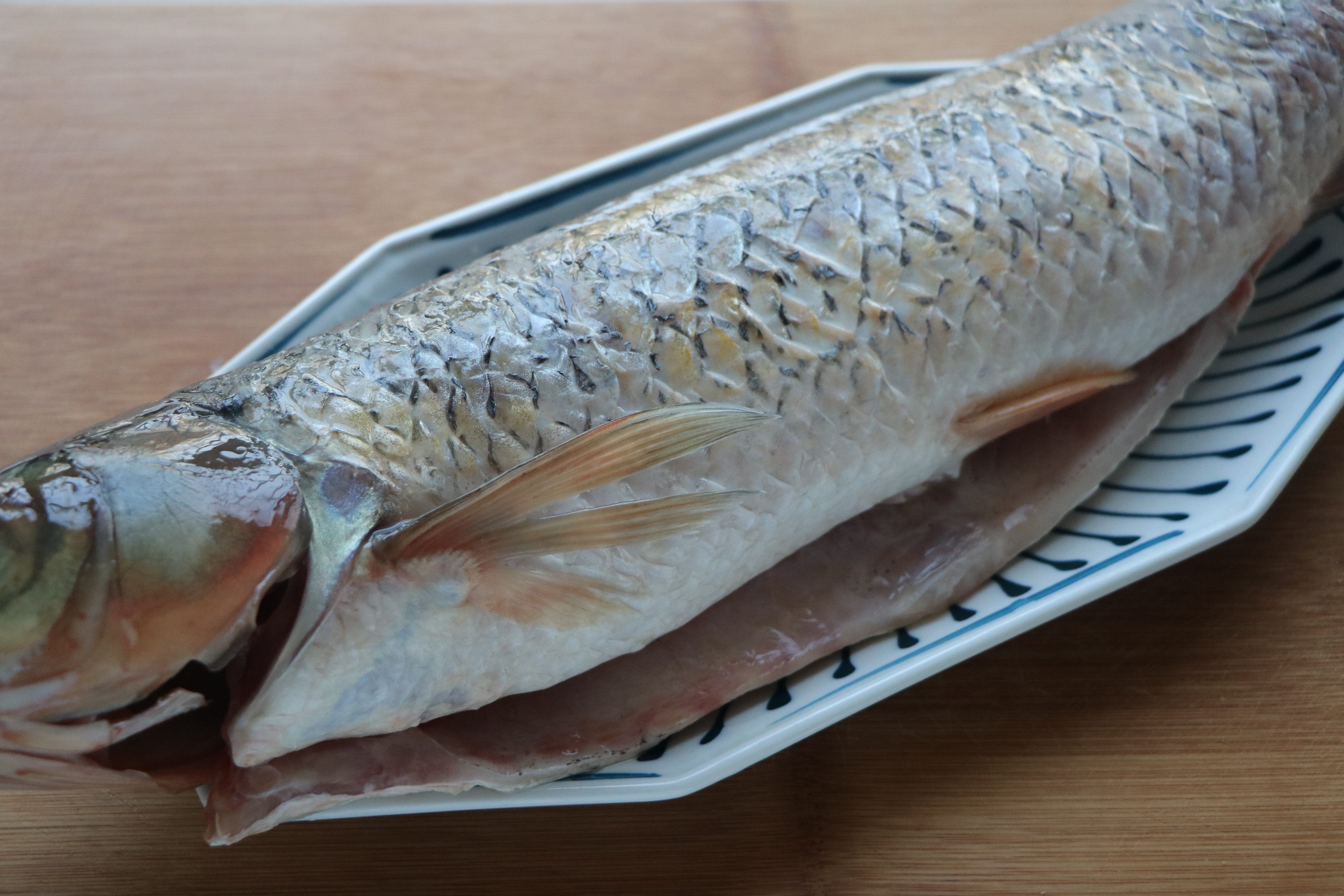 不加一滴水炖出来的草鱼又鲜又嫩,红烧草鱼的家常做法简单不做辣的