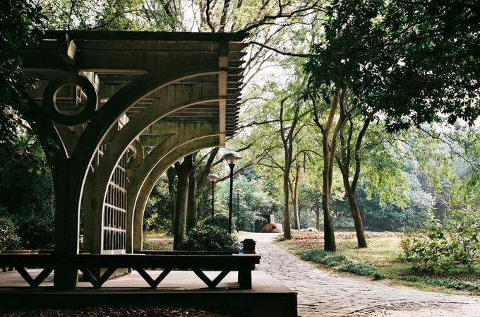 杭州西湖附近美食攻略,杭州吃货美食超全攻略