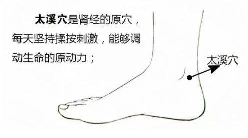 腰膝酸软针灸穴位,腰膝酸软艾灸哪些穴位图