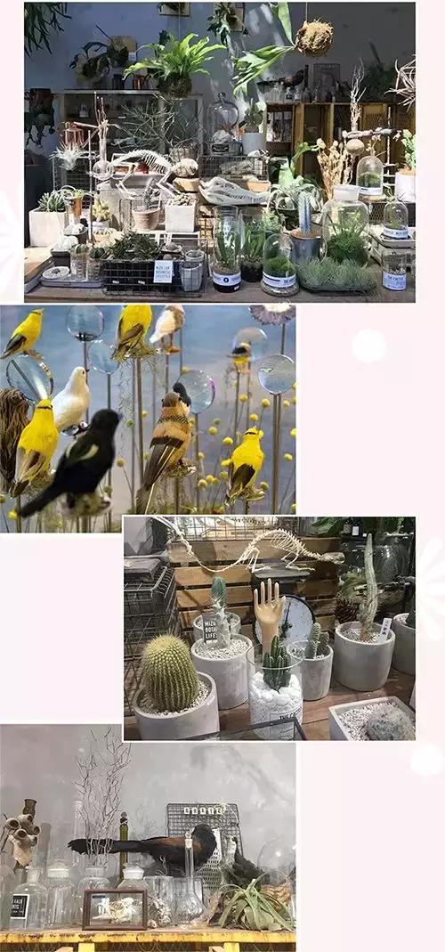 北京最好看的花店,北京哪个花店最美丽又好看