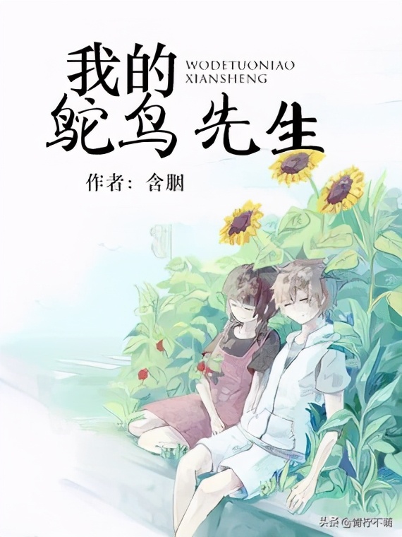 推荐45本熬夜看完的小说，文笔好不拖沓