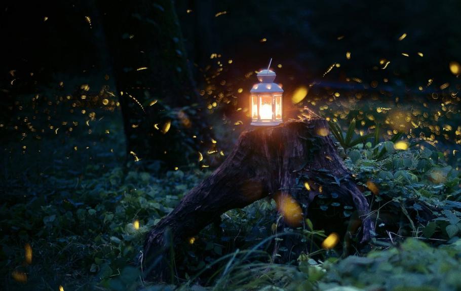 夏天夜晚描写萤火虫的诗句,描写夏天萤火虫翩翩飞舞的诗句