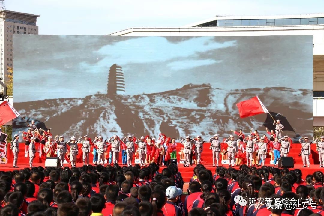 育才学校官网直播,育才直播现场