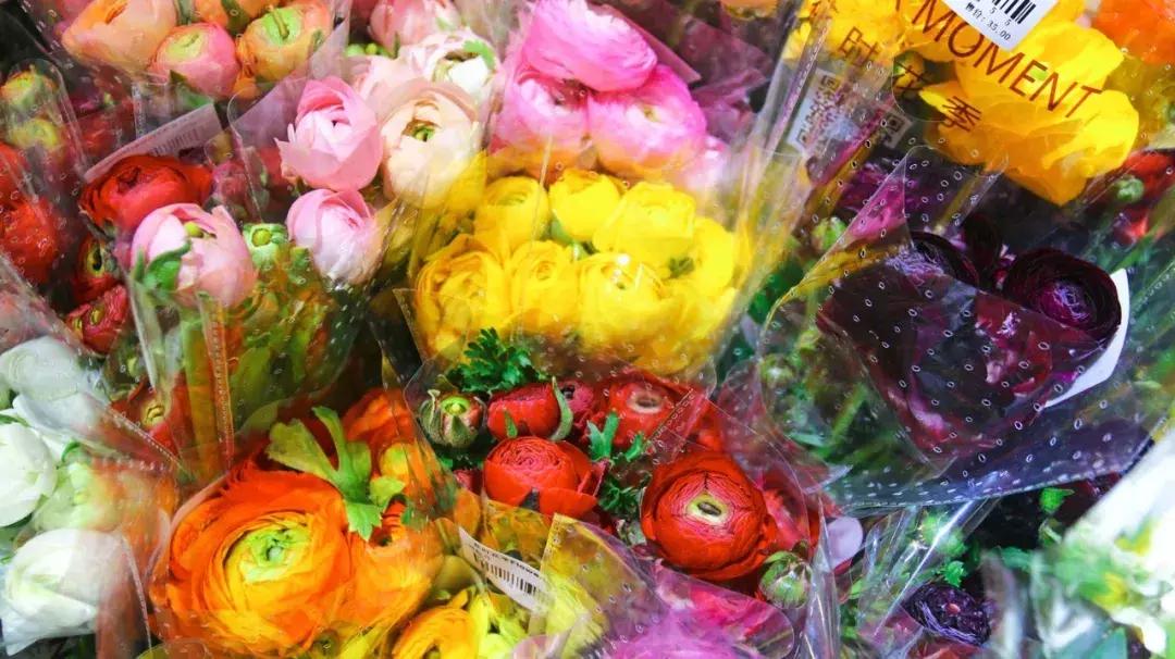 厦门这家超浪漫的鲜花餐厅,厦门最好看的花店